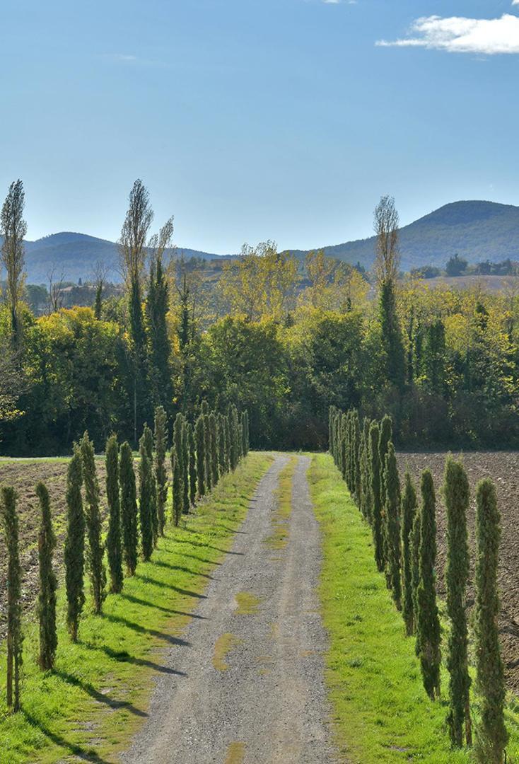 Podere La Querciola Guardistallo Zewnętrze zdjęcie